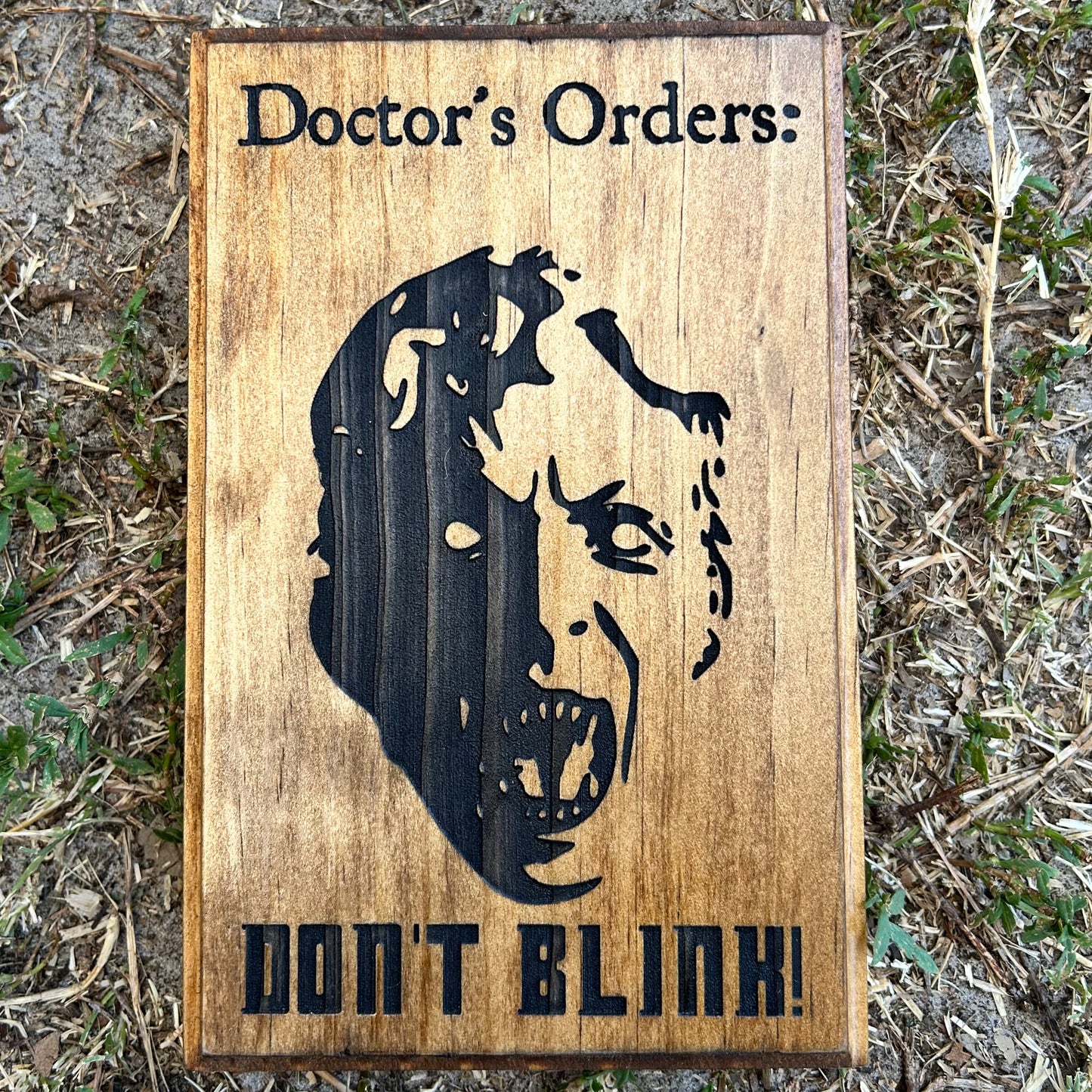 Doctor Who Don’t Blink