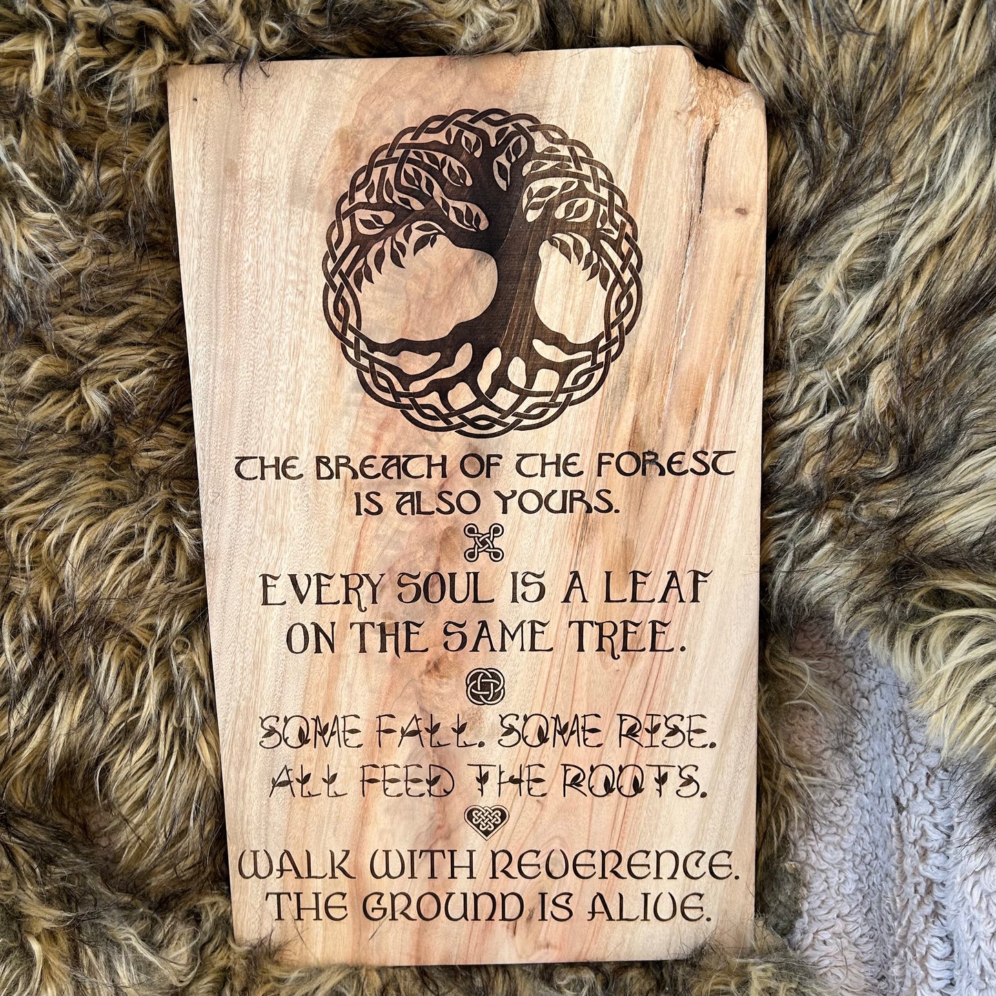 Breath of the Forest