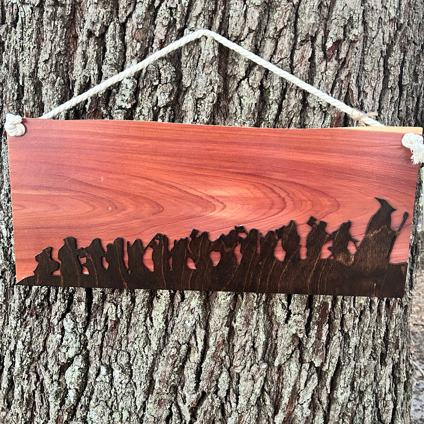 Adventure Ring Party