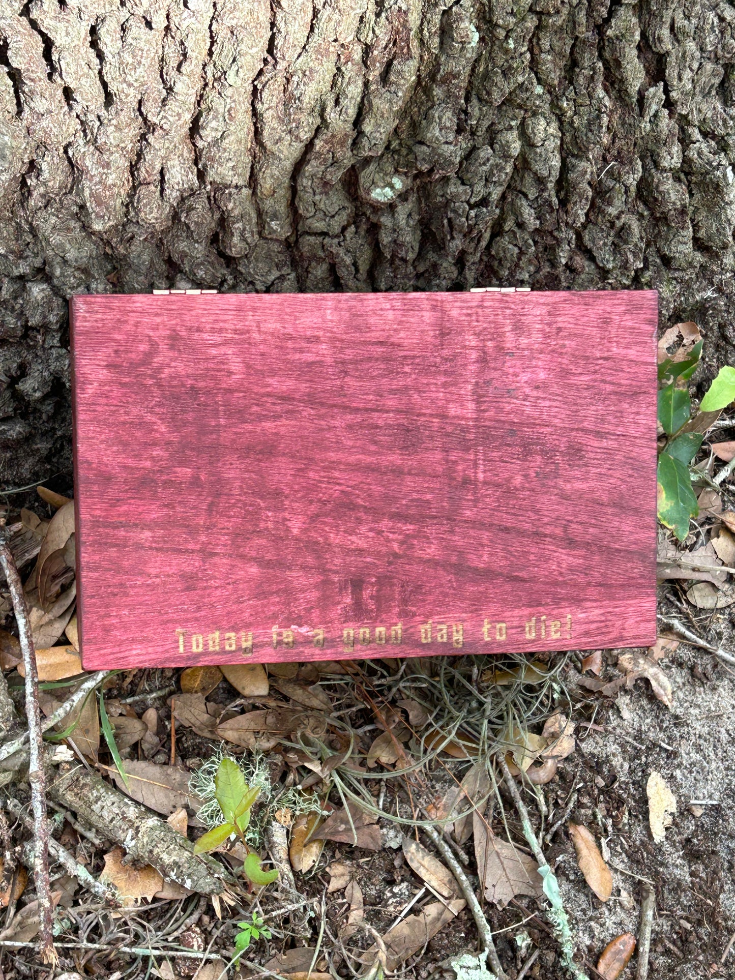 Klingon Good Day Box