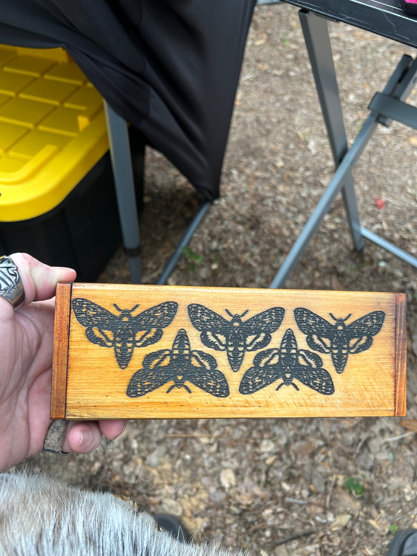 Death Head Moth Box