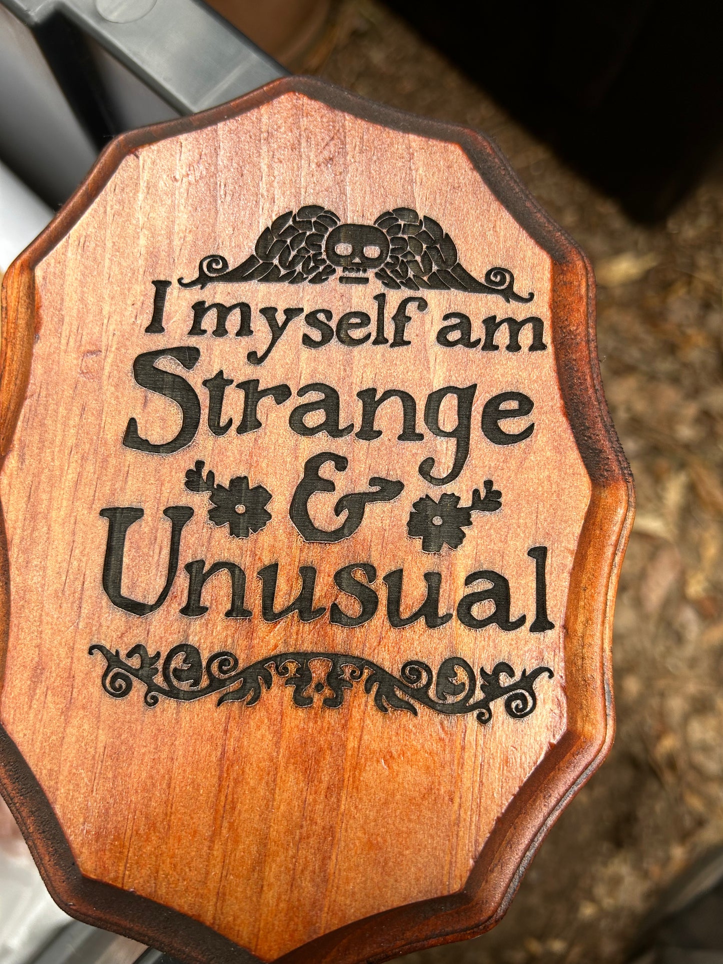Strange and Unusual