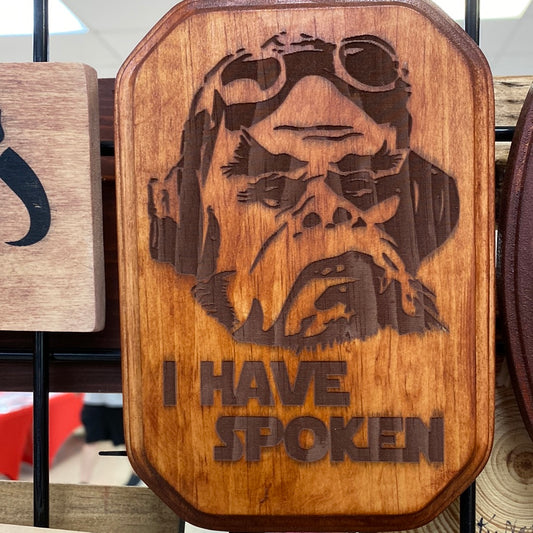 I have spoken