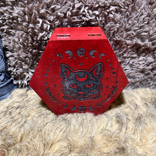Moon Phase Cat Box