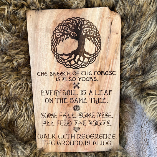 Breath of the Forest