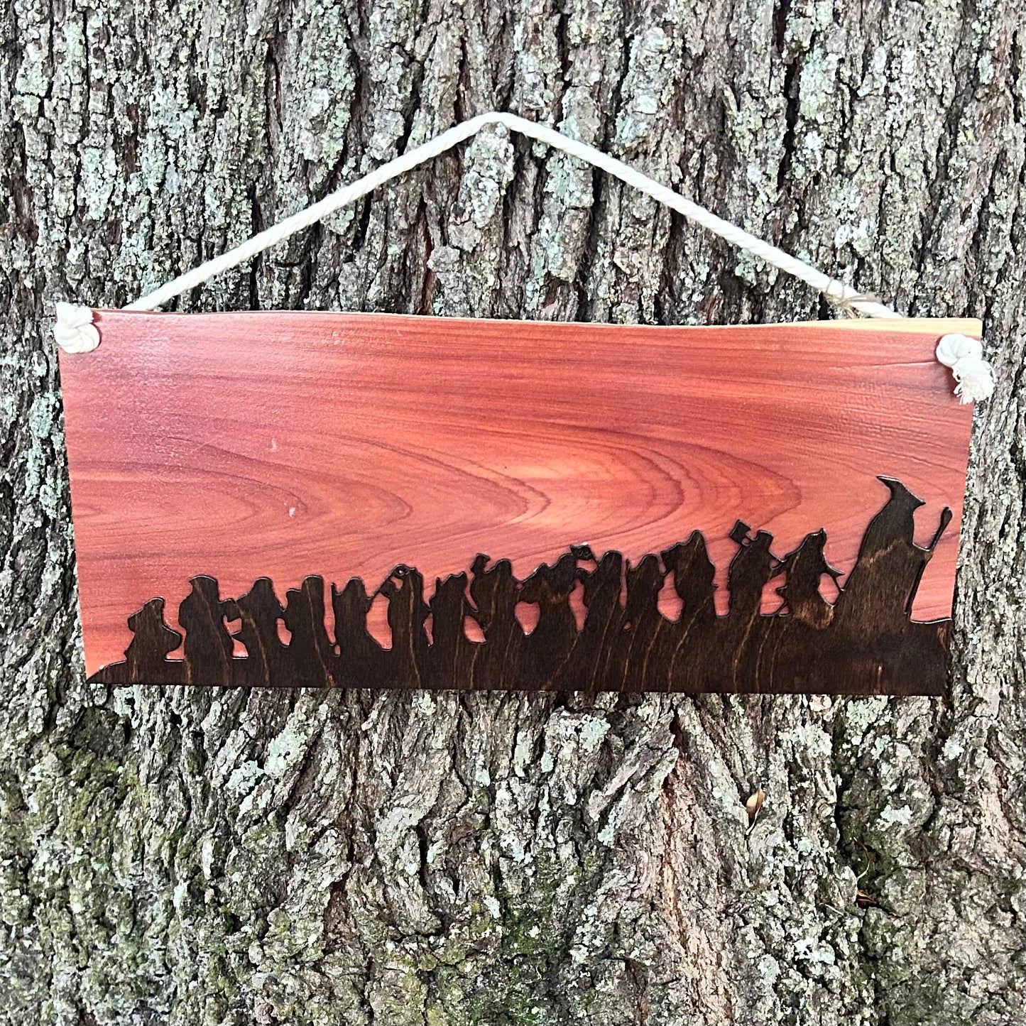 Adventure Ring Party