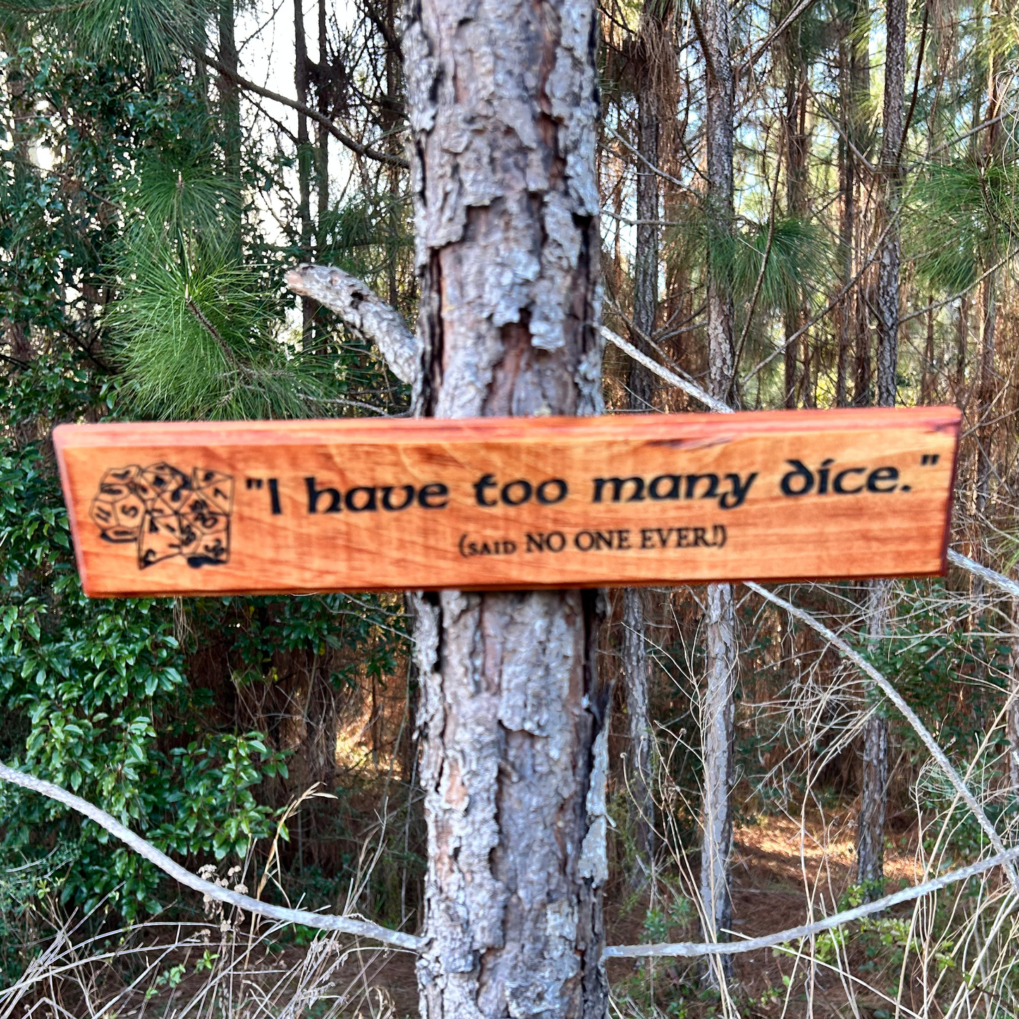 Naysay Have Too Many Dice