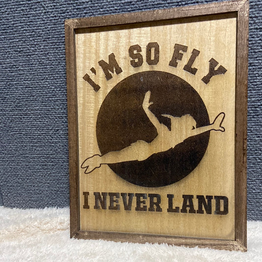 Fly Neverland